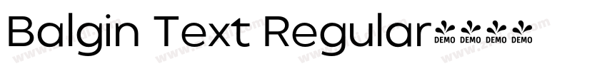 Balgin Text Regular字体转换